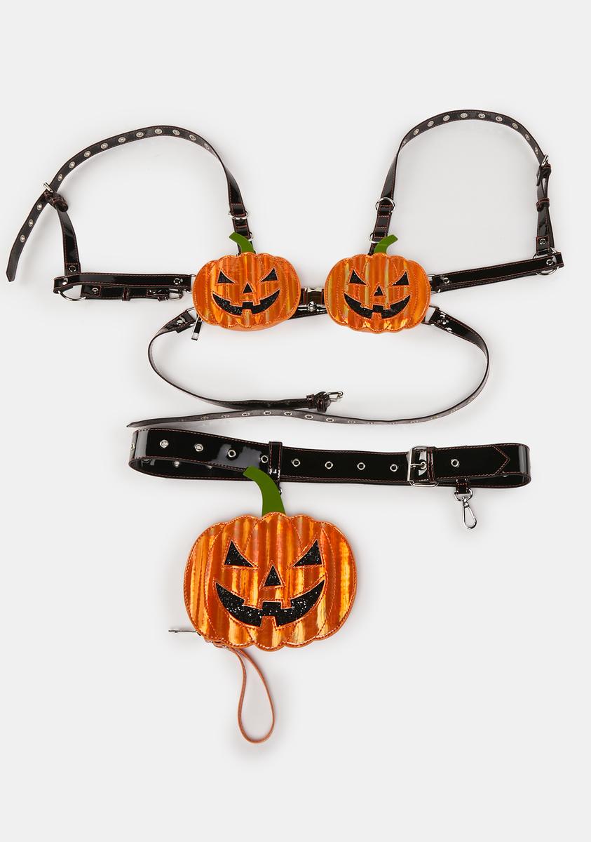 A Grin That Glows Storage Harness Set